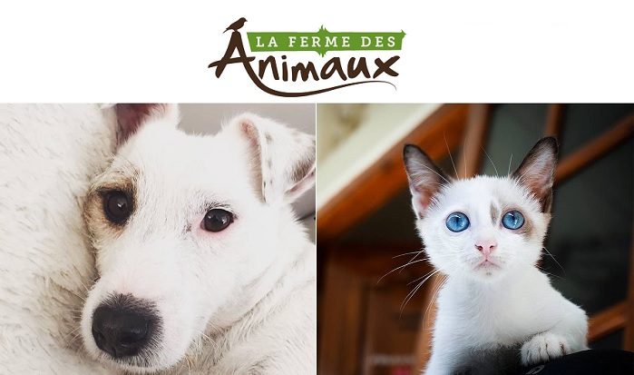 animalerie-La-Ferme-des-Animaux