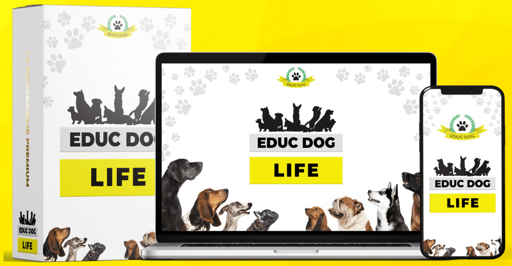 educ-dog-life-avis