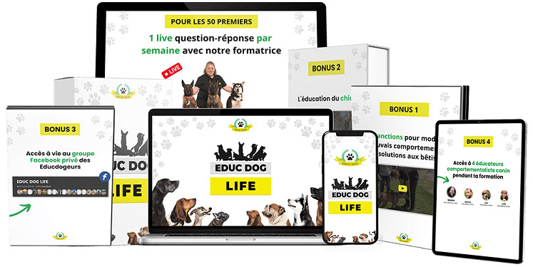 formation-Educ-Dog-Life